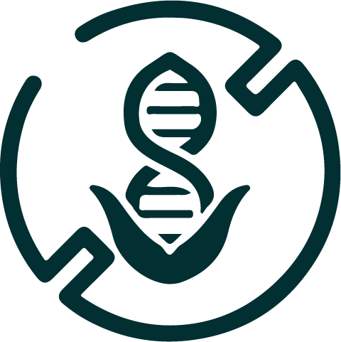 A chessboard with two hands moving pieces during a game.